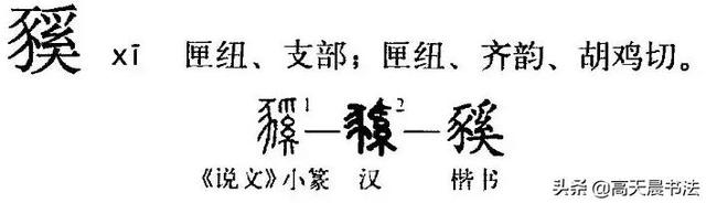 猪在古代的称呼，猪在古代叫什么（“猪”与“家”的汉字演变与文化内涵）