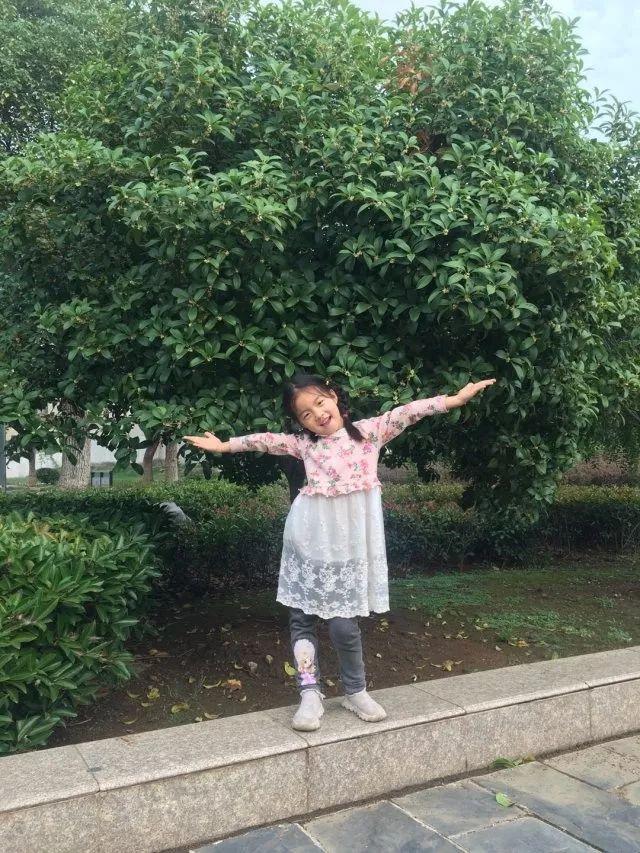 关于桂花的资料，桂花的资料（满园飘逸桂花香）