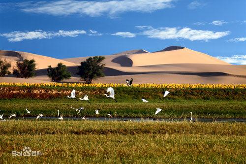 乌海是哪个省的城市，乌海市属于哪个省（内蒙西部城市乌海）