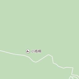 龙棕是裸子植物还是被子植物,龙棕是裸子植物还是被子植物图片(仙湖植物园位于深圳市罗湖区东郊的莲塘仙湖路) 龙棕是裸子植物还是被子植物,龙棕是裸子植物还是被子植物图片(仙湖植物园位于深圳市罗湖区东郊的莲塘仙湖路)