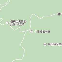 龙棕是裸子植物还是被子植物,龙棕是裸子植物还是被子植物图片(仙湖植物园位于深圳市罗湖区东郊的莲塘仙湖路) 龙棕是裸子植物还是被子植物,龙棕是裸子植物还是被子植物图片(仙湖植物园位于深圳市罗湖区东郊的莲塘仙湖路)