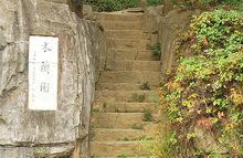 龙棕是裸子植物还是被子植物,龙棕是裸子植物还是被子植物图片(仙湖植物园位于深圳市罗湖区东郊的莲塘仙湖路) 龙棕是裸子植物还是被子植物,龙棕是裸子植物还是被子植物图片(仙湖植物园位于深圳市罗湖区东郊的莲塘仙湖路)