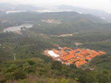 龙棕是裸子植物还是被子植物,龙棕是裸子植物还是被子植物图片(仙湖植物园位于深圳市罗湖区东郊的莲塘仙湖路) 龙棕是裸子植物还是被子植物,龙棕是裸子植物还是被子植物图片(仙湖植物园位于深圳市罗湖区东郊的莲塘仙湖路)