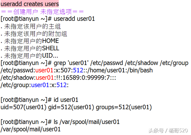 女巨人／杨哥！，女巨人杨哥（Linux学习的正确姿势05图片）