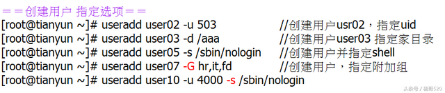 女巨人／杨哥！，女巨人杨哥（Linux学习的正确姿势05图片）