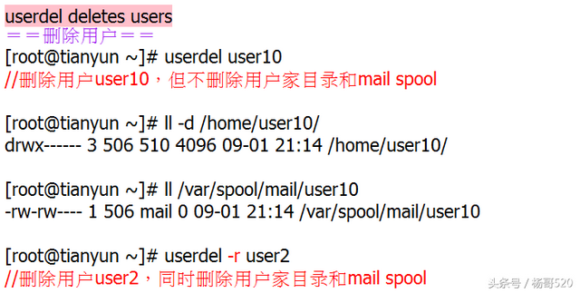 女巨人／杨哥！，女巨人杨哥（Linux学习的正确姿势05图片）