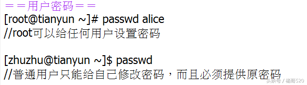 女巨人／杨哥！，女巨人杨哥（Linux学习的正确姿势05图片）