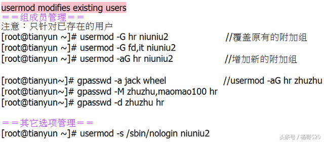 女巨人／杨哥！，女巨人杨哥（Linux学习的正确姿势05图片）