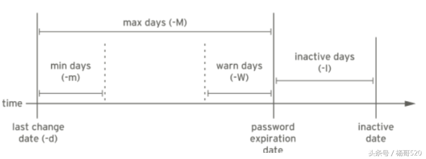 女巨人／杨哥！，女巨人杨哥（Linux学习的正确姿势05图片）