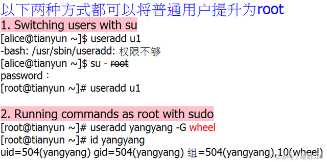 女巨人／杨哥！，女巨人杨哥（Linux学习的正确姿势05图片）