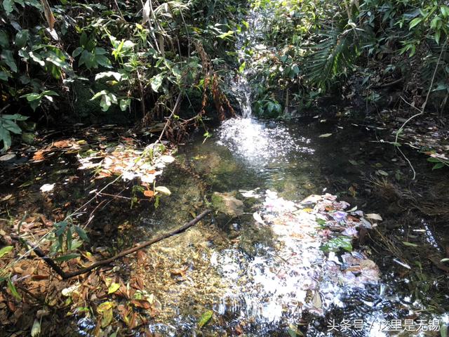 广州王子山森林公园，广州花都一日游去哪里（广州地区内难得一见的“世外桃源”）