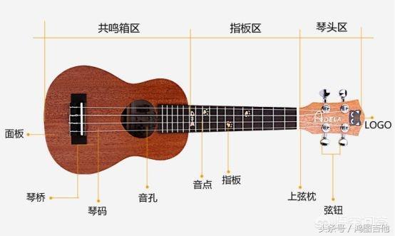 什么乐器最好学，无基础自学乐器什么最好学（那些比容易自学和短时间内就可以入门的乐器）