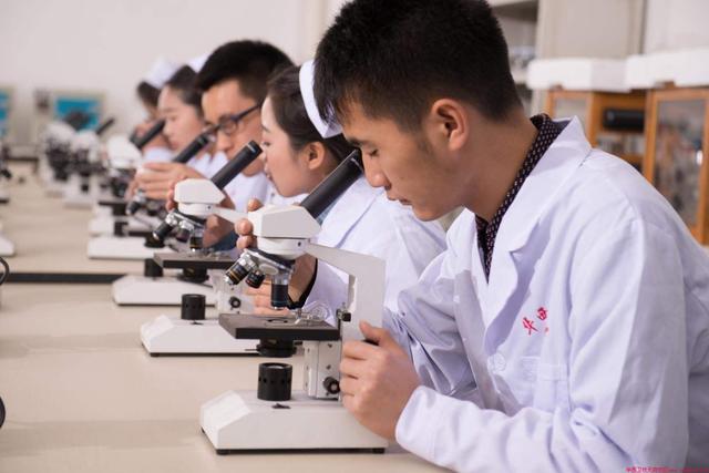 护理专业是护士吗，护理专业不是护士（本科、专科和卫校出来到底差别在哪里）