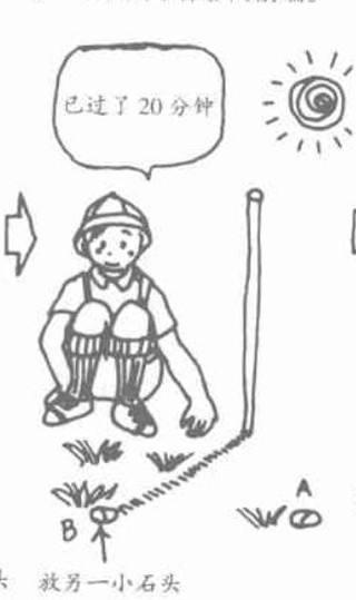 蚂蚁洞口朝向什么方向，蚂蚁洞口怎么辨别方向（在野外如何借助环境快速辨别方向的技巧）