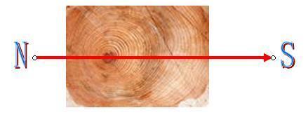 蚂蚁洞口朝向什么方向，蚂蚁洞口怎么辨别方向（在野外如何借助环境快速辨别方向的技巧）