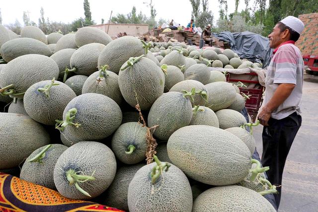 甜瓜的营养价值，甜瓜的营养价值及功效（被誉为“瓜中之王”调血压）