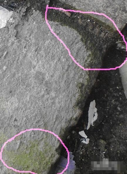 蚂蚁洞口朝向什么方向，蚂蚁洞口怎么辨别方向（在野外如何借助环境快速辨别方向的技巧）