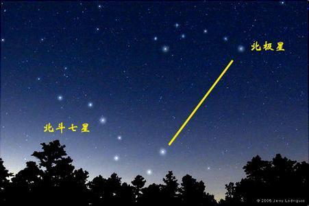 蚂蚁洞口朝向什么方向，蚂蚁洞口怎么辨别方向（在野外如何借助环境快速辨别方向的技巧）