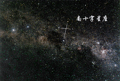 蚂蚁洞口朝向什么方向，蚂蚁洞口怎么辨别方向（在野外如何借助环境快速辨别方向的技巧）