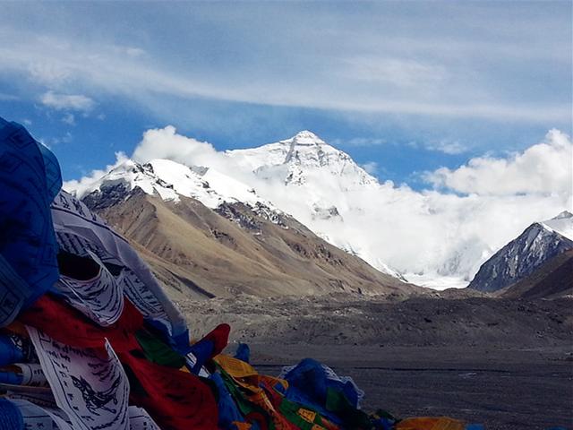 蚂蚁洞口朝向什么方向，蚂蚁洞口怎么辨别方向（在野外如何借助环境快速辨别方向的技巧）