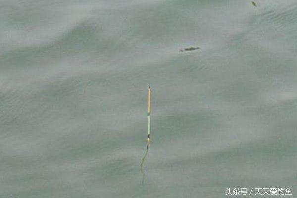 台钓如何钓浮，台钓怎样调浮漂（可钓底也可钓浮轻松应对全泳层）