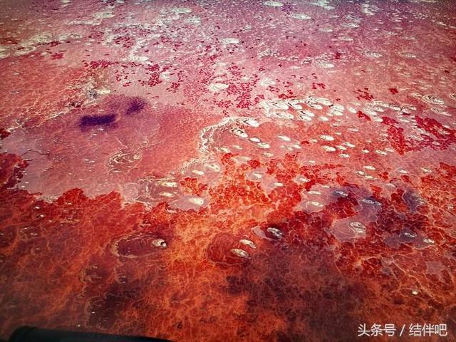 水地狱是真实的吗，水地狱还叫什么名字（世界上真实存在的冥界之河）