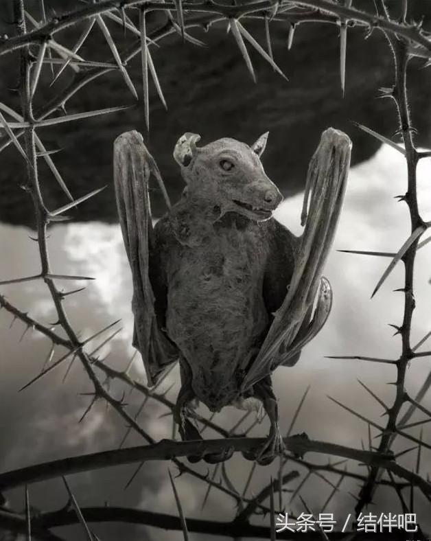 水地狱是真实的吗，水地狱还叫什么名字（世界上真实存在的冥界之河）