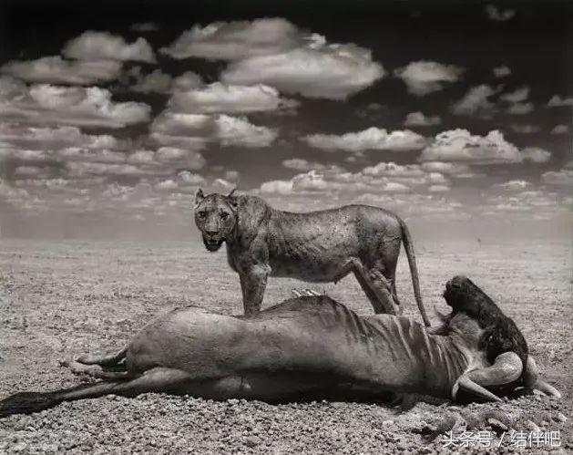 水地狱是真实的吗，水地狱还叫什么名字（世界上真实存在的冥界之河）