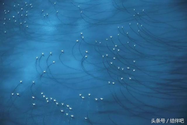 水地狱是真实的吗，水地狱还叫什么名字（世界上真实存在的冥界之河）