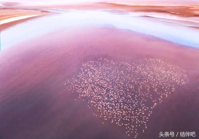 水地狱是真实的吗，水地狱还叫什么名字（世界上真实存在的冥界之河）