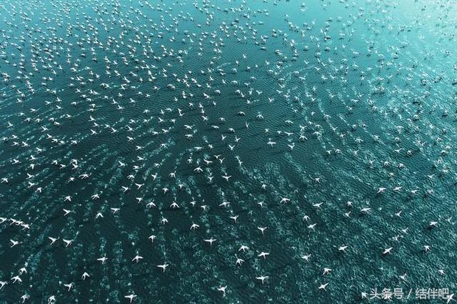 水地狱是真实的吗，水地狱还叫什么名字（世界上真实存在的冥界之河）