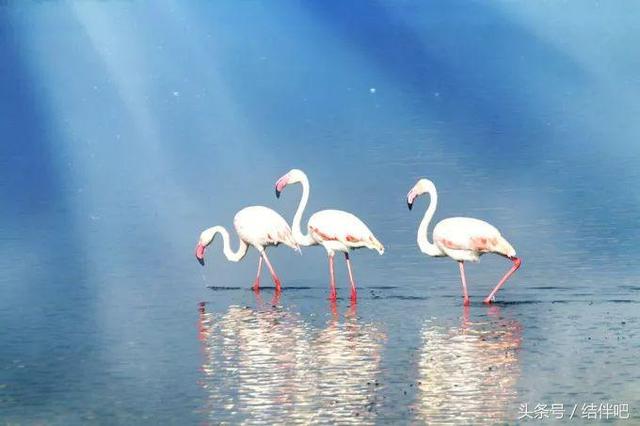 水地狱是真实的吗，水地狱还叫什么名字（世界上真实存在的冥界之河）