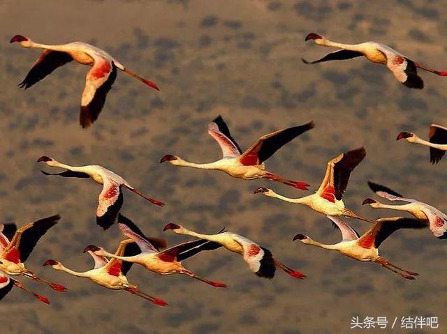 水地狱是真实的吗，水地狱还叫什么名字（世界上真实存在的冥界之河）