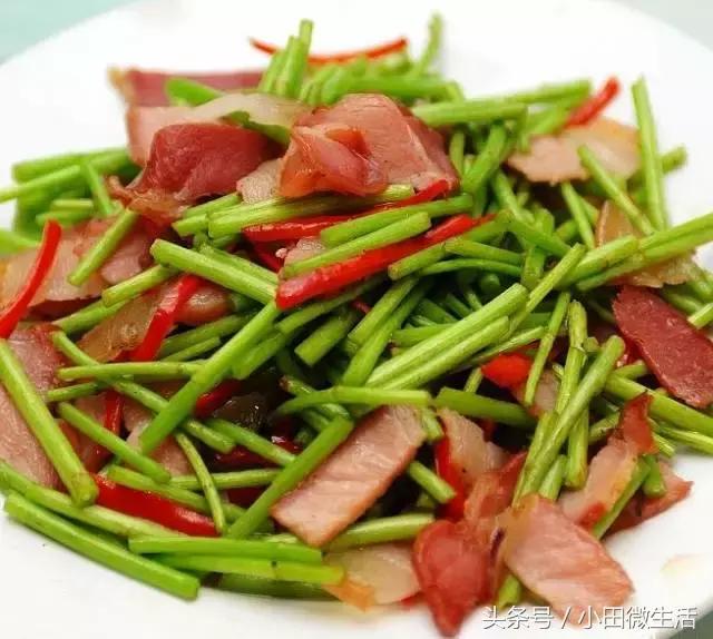 篱蒿菜的做法，茼蒿菜和蓬蒿菜的做法（春天在湖泊草滩岸边）