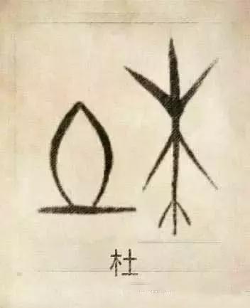 属虎女孩高雅有涵养的名字林姓，属虎女孩子名字有山林（42个中华姓氏图腾）