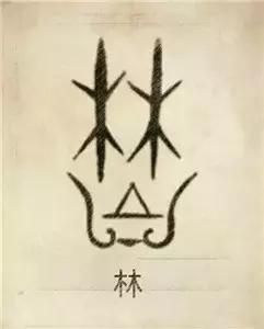 属虎女孩高雅有涵养的名字林姓，属虎女孩子名字有山林（42个中华姓氏图腾）