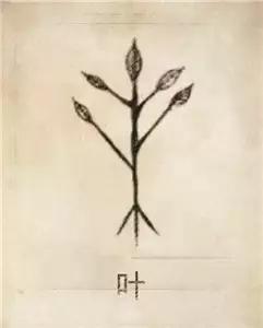 属虎女孩高雅有涵养的名字林姓，属虎女孩子名字有山林（42个中华姓氏图腾）