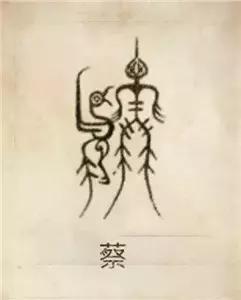 属虎女孩高雅有涵养的名字林姓，属虎女孩子名字有山林（42个中华姓氏图腾）