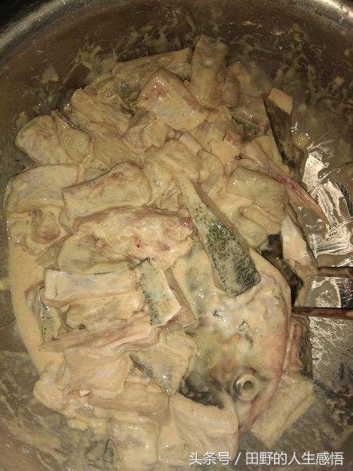 鲢子鱼最佳做法，鲢子鱼的家常做法（就数炸鲢子鱼块最好吃了）