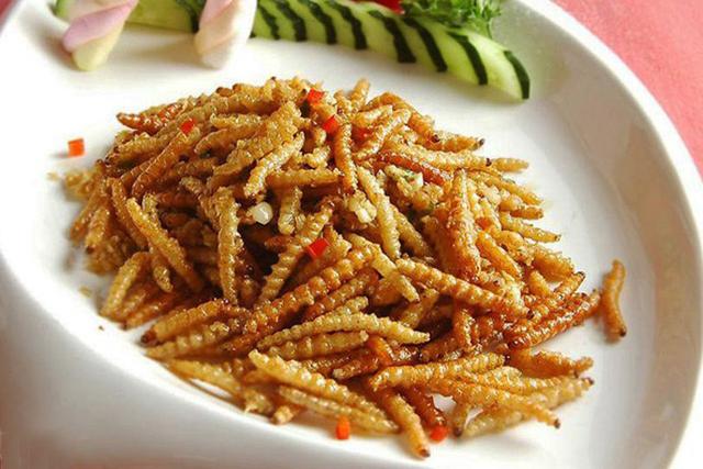 云南虫子宴都有什么虫，昆虫宴有哪些昆虫图片（舌尖上的美味——云南各地昆虫宴）