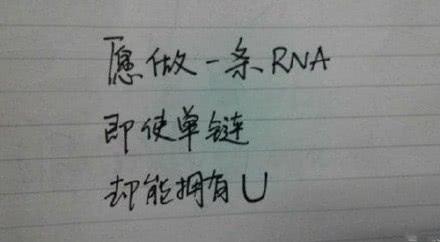 硼化硫是骂人啥意思，硼化硫（能让文科生跪倒一片的6张理科内涵图）