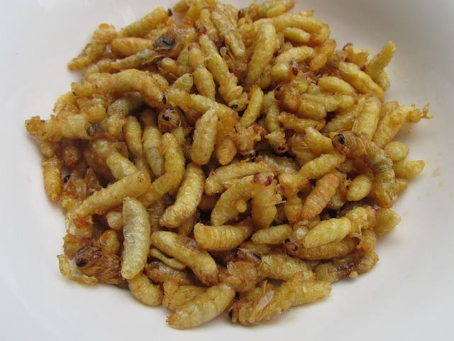 云南虫子宴都有什么虫，昆虫宴有哪些昆虫图片（舌尖上的美味——云南各地昆虫宴）