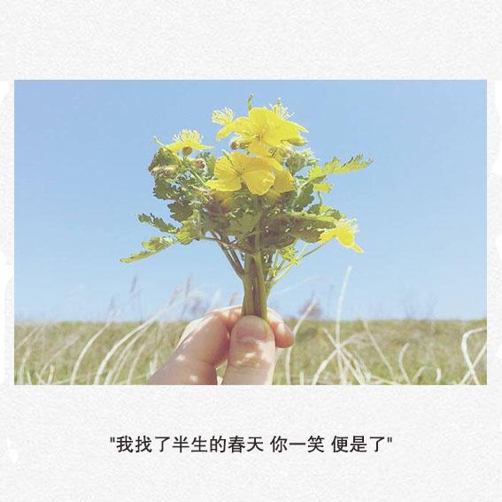 渡我是什么意思，渡我指的是什么（恰似无边心海，我身陷其中）