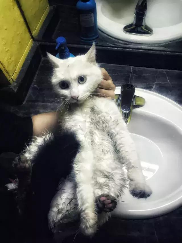 常在河边走哪有不湿鞋，常在河边走哪有不湿鞋什么意思（杨家枪：常在河边走哪有不湿鞋）