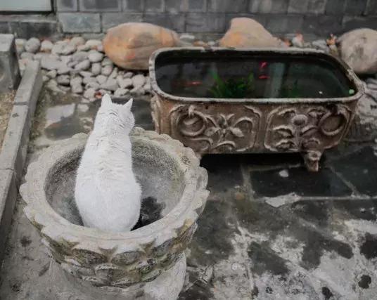 常在河边走哪有不湿鞋，常在河边走哪有不湿鞋什么意思（杨家枪：常在河边走哪有不湿鞋）