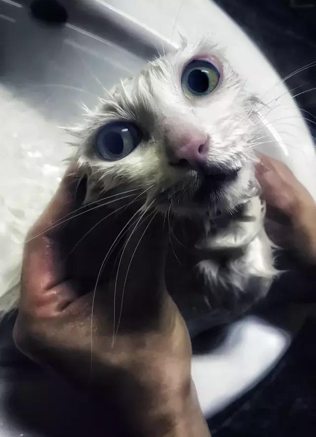 常在河边走哪有不湿鞋，常在河边走哪有不湿鞋什么意思（杨家枪：常在河边走哪有不湿鞋）