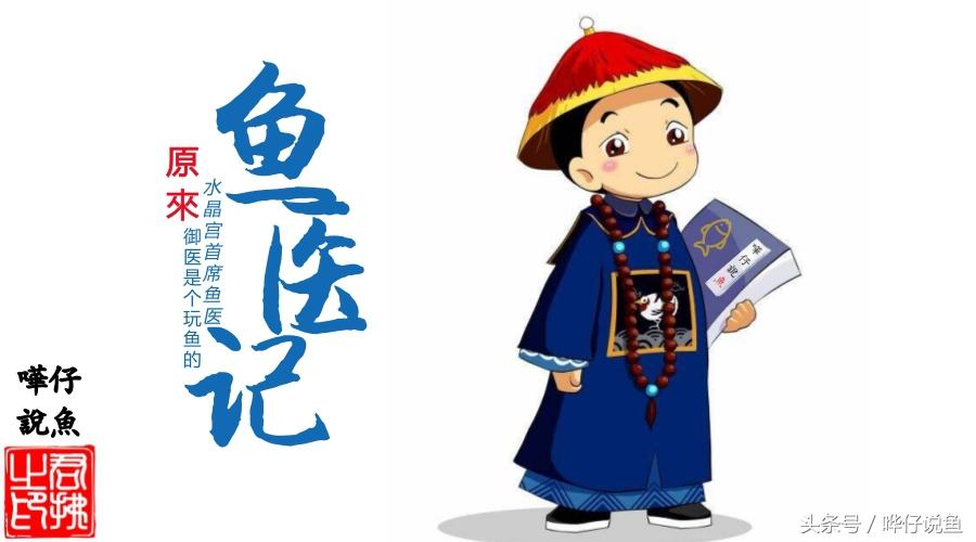 鱼叫兽警告：养鱼人千万不能碰的几种危险鱼类，一碰可能致命或毁缸！