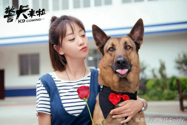 警犬来啦的演员，警犬来啦的演员表全部红辣椒（《警犬来啦》里的杨蓉才是真的冻龄女神）
