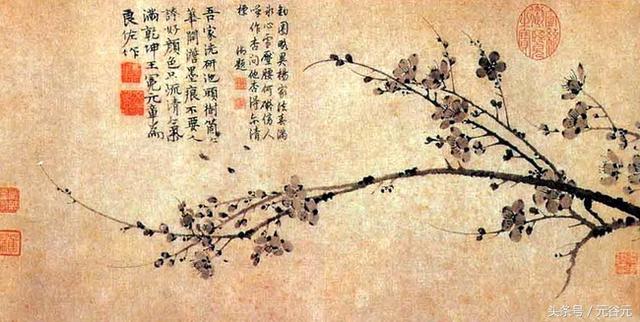 不要人夸好颜色只留清气满乾坤，不要人夸好颜色只留清气满乾坤是什么花