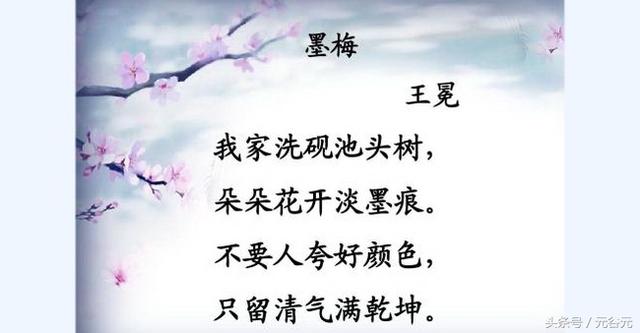 不要人夸好颜色只留清气满乾坤，不要人夸好颜色只留清气满乾坤是什么花